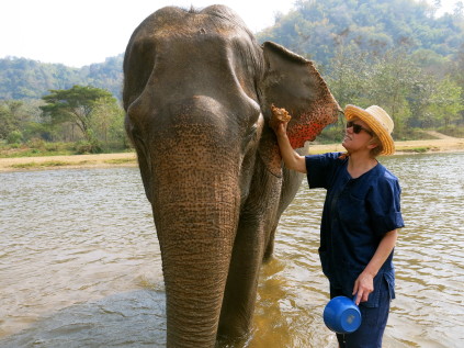 bathing elephant_chiang mai_thailand